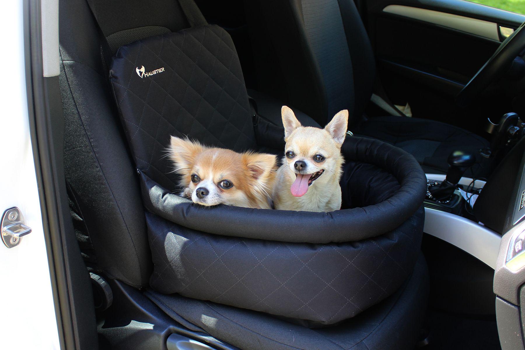 Автокрісло для Собак Haustier Elegant Black M 45x45x24x52см (HT2-2-034) Автокрісло для Собак Haustier Elegant Black M 45x45x24x52см (HT2-2-034)