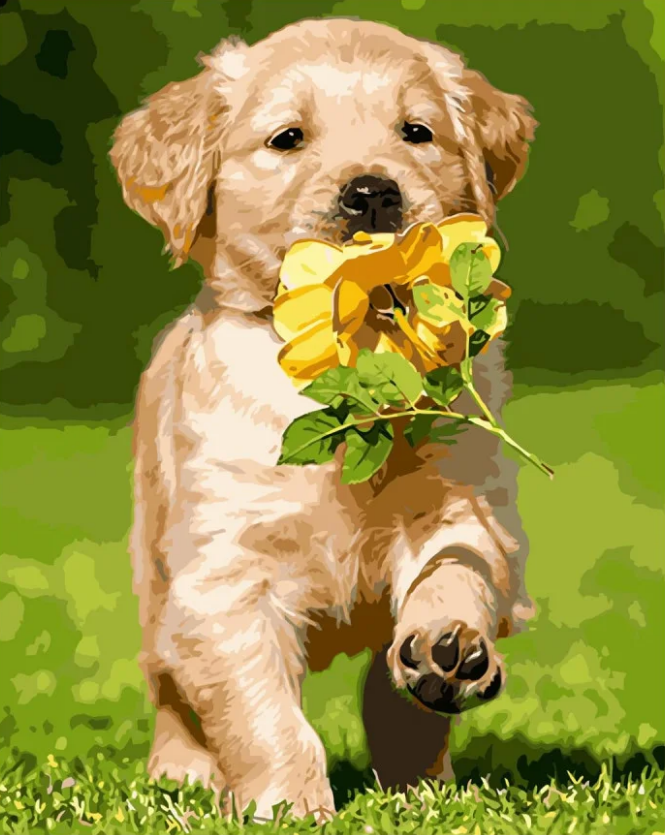 Картина по номерам Strateg Премиум Маленький лабрадор с лаком и уровнем 40x50 см (VA-2856)