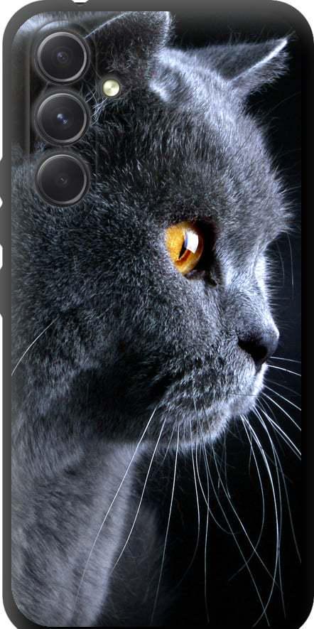 Чехол на Samsung Galaxy A54 A546E Красивый кот (3038b-2935-42517)
