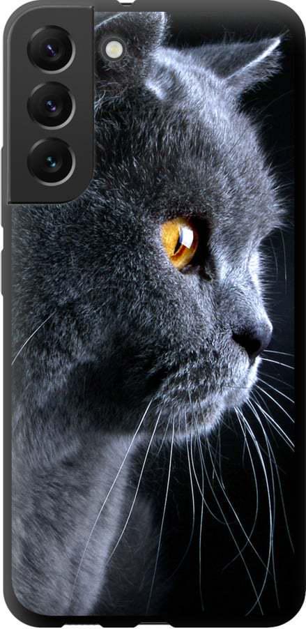 Чехол на Samsung Galaxy S22 Plus Красивый кот (3038b-2495-42517)