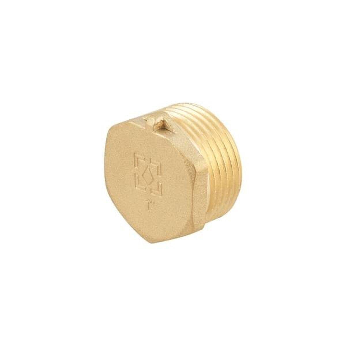 Заглушка Raftec GOLD під пломбу НН 1" (SW-103850)