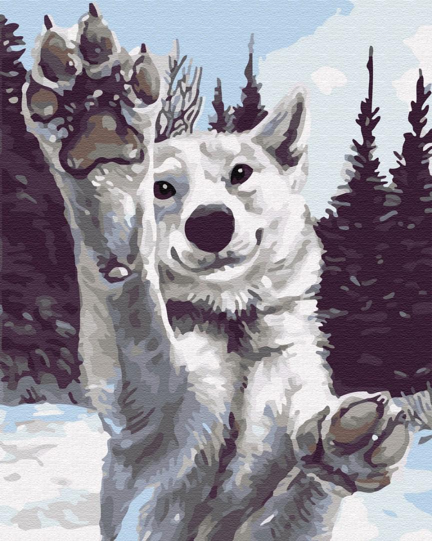 Картина за номерами Brushme Никитошка Сніговий хаскі 40x50 см (BRM31016) Картина за номерами Brushme Никитошка Сніговий хаскі 40x50 см (BRM31016)