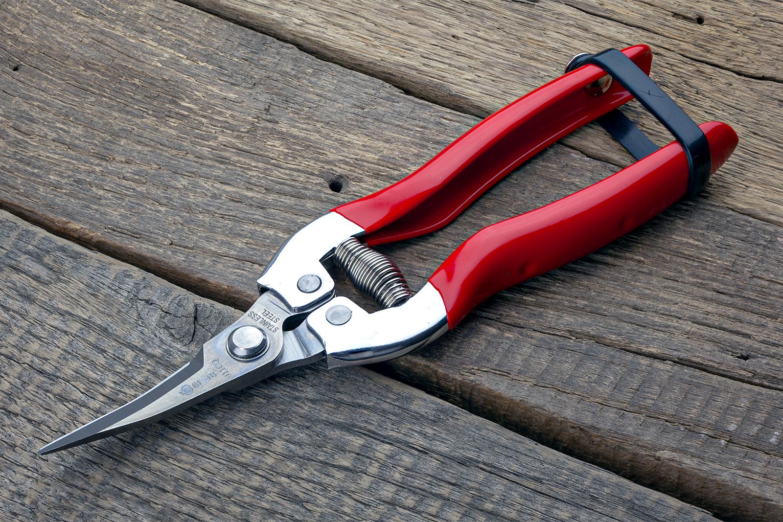 Ножиці садові Sagawata з нержавіючої сталі вигнуті 185 мм (911CQ) - фото 8 Ножиці садові Sagawata з нержавіючої сталі вигнуті 185 мм (911CQ) - фото 8