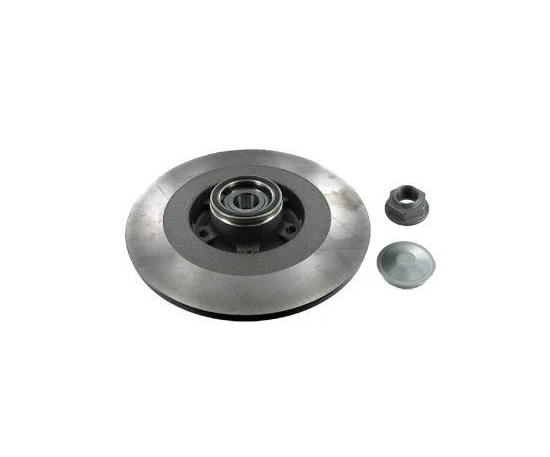 Диск гальмівний задній SKF Renault Laguna III 08- +ABS з підшипником 300x11 мм (VKBD 1019 SKF)