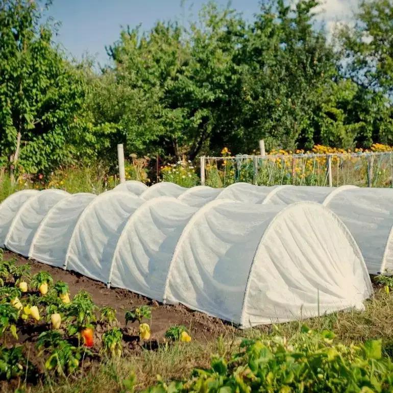 Теплица из агроволокна MAKSIAGRO 4м 50/м2 - фото 5 Теплица из агроволокна MAKSIAGRO 4м 50/м2 - фото 5