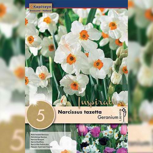 Нарцис Florium Geranium (18283) - фото 2