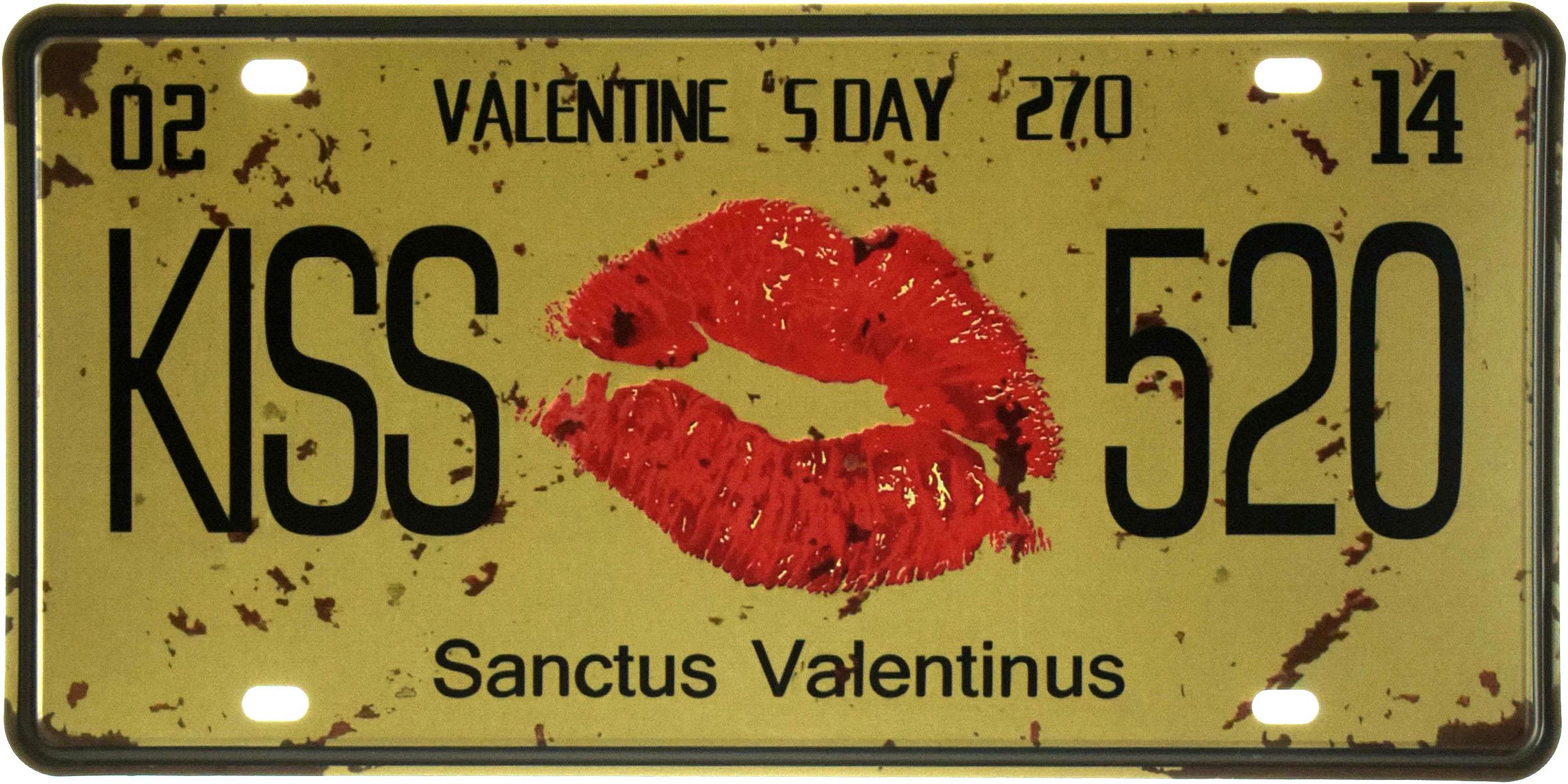 Табличка металлическая Valentine's Day Kiss 520 15x30 см