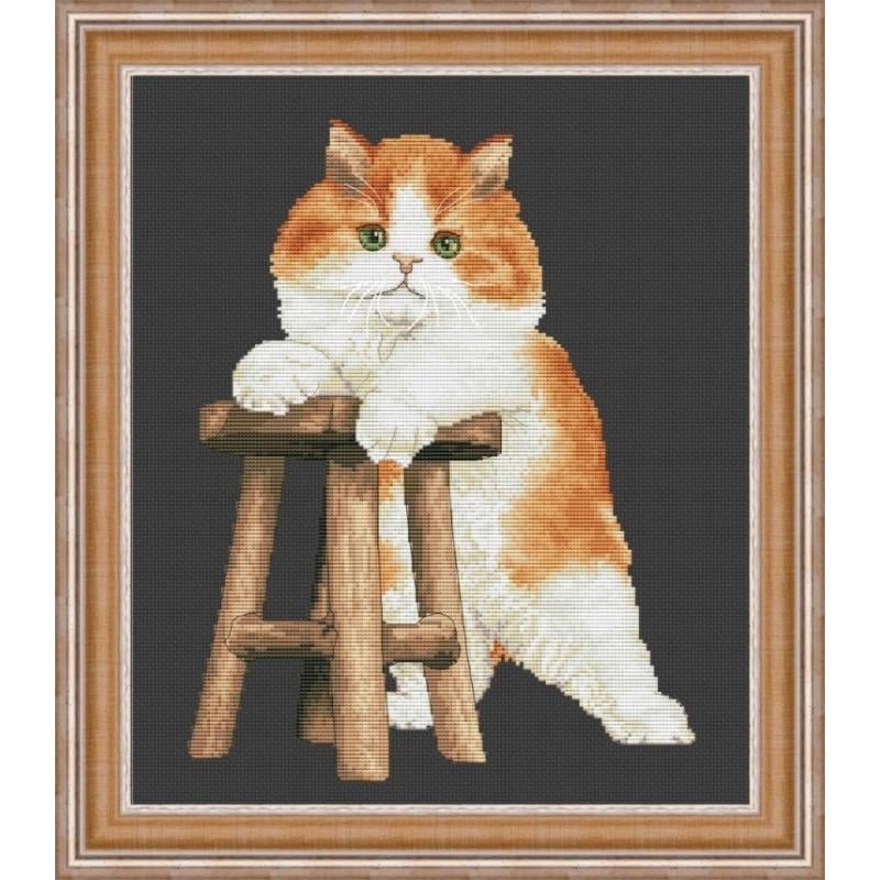 Набор для вышивания крестиком OLanTa VN-178 Мой котенок (50888) Набор для вышивания крестиком OLanTa VN-178 Мой котенок (50888)