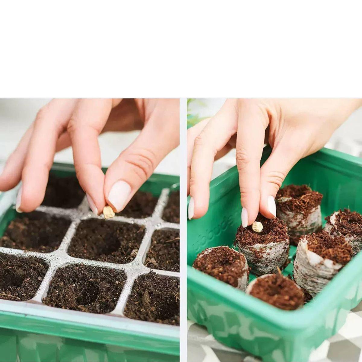 Стартовый набор для растений со светодиодной лампой для роста 5 лотков по 12 ячеек (1086) - фото 7