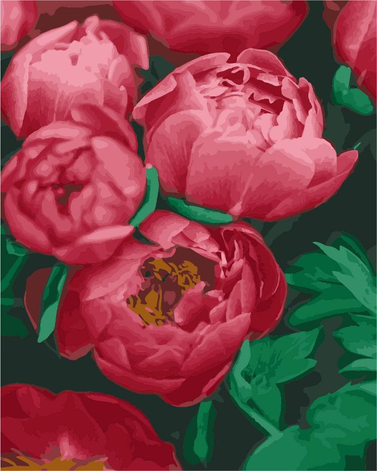 Картина по номерам ArtStory Красные пионы 40x50 см (AS0980)