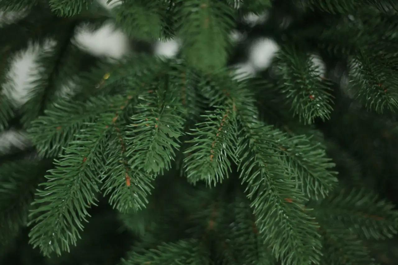 Искусственная елка литая Роял 2,7 м (12914043) - фото 3 Искусственная елка литая Роял 2,7 м (12914043) - фото 3