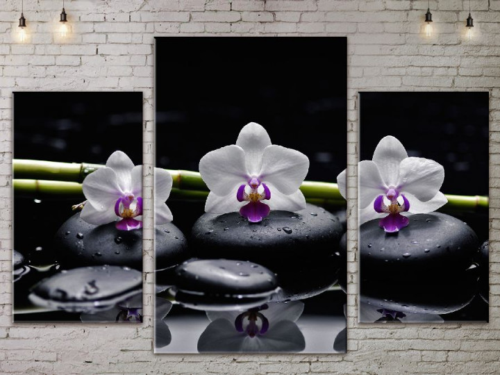 Картина модульная ArtStar Орхидея на камнях ADFL0077 120х180 см 3 части