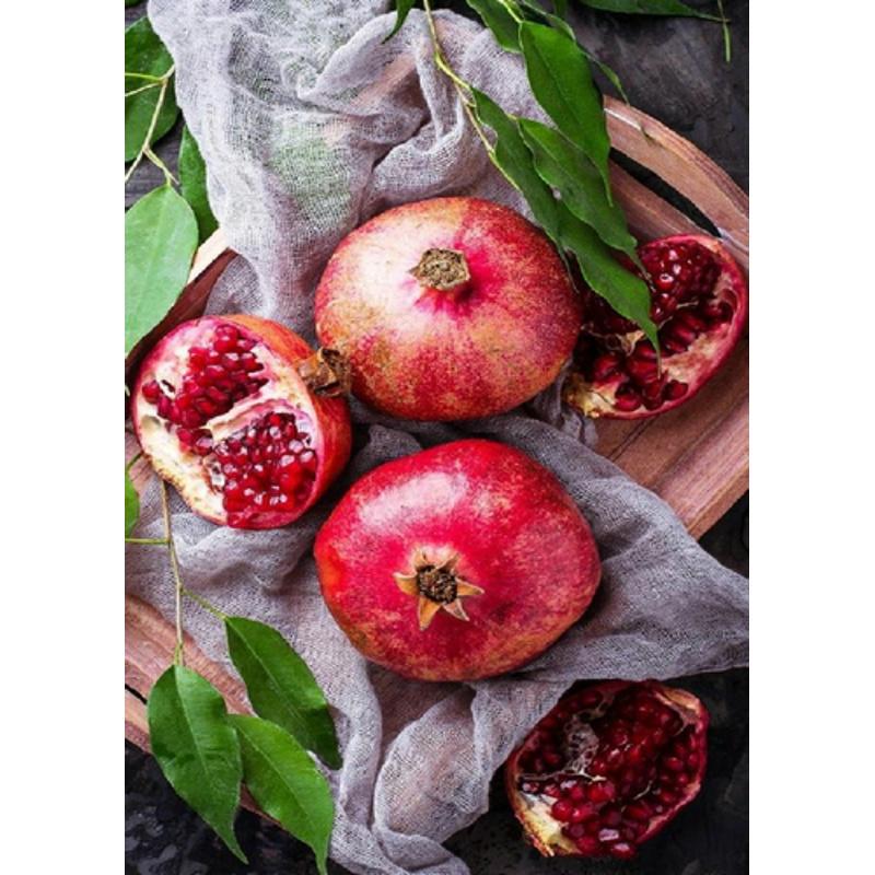 Алмазная мозаика Strateg Премиум Восточный гранат 30х40 см (Str-GD86101)