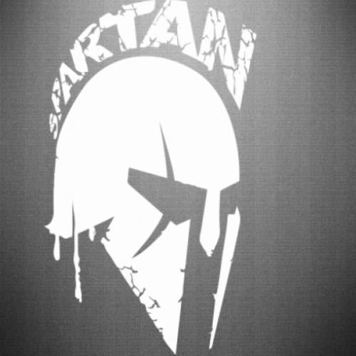 Наклейка Spartan minimalistic helmet 23,8x40 см Белый (21559054)