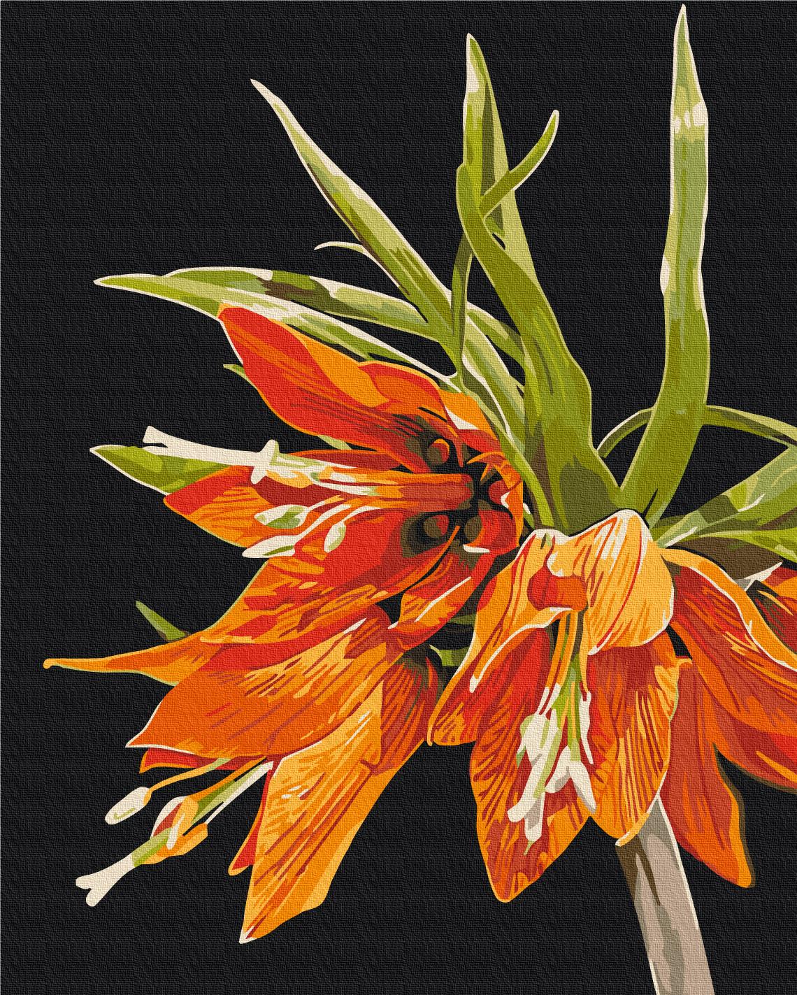 Картина по номерам Brushme Фритилария 40x50 см (BS54138)