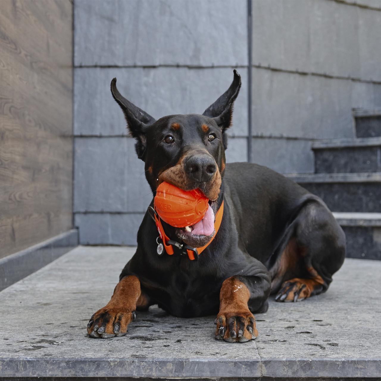 Іграшка для собак великих порід Liker 9 М'ячик (6295) - фото 6