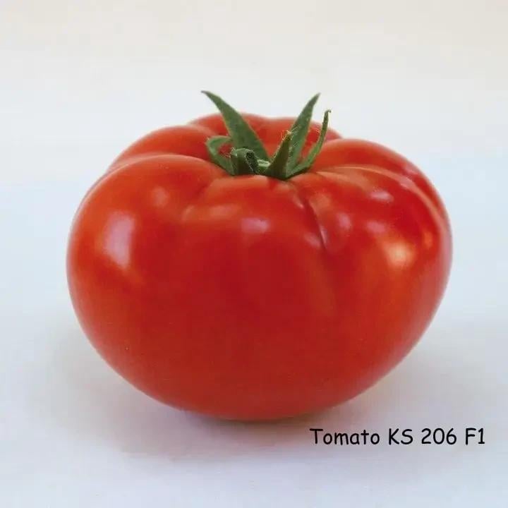 Насіння Томат Індетермінантний Kitano Seeds KS 240 F1 100 шт. (2075183480) Насіння Томат Індетермінантний Kitano Seeds KS 240 F1 100 шт. (2075183480)