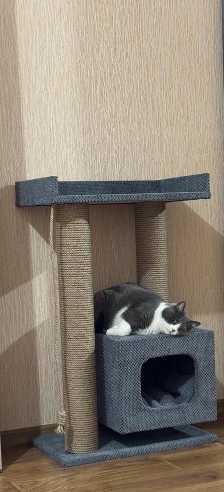 Кігтеточка будинок та лежанка 85 см Сірий (Kote-565198906-gray) - фото 2 Кігтеточка будинок та лежанка 85 см Сірий (Kote-565198906-gray) - фото 2