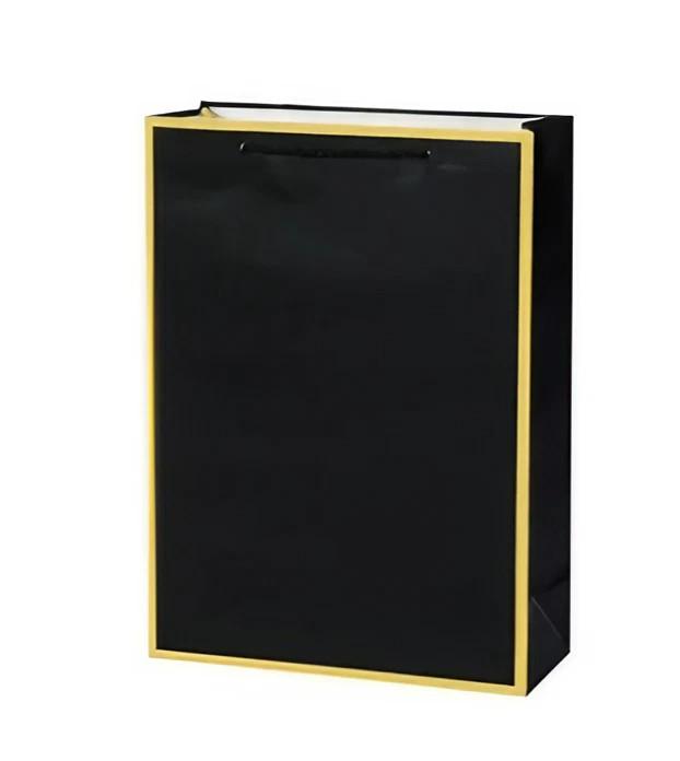 Подарунковий пакет Stenson WW02795 Colored 18х23х10 см (14069942)