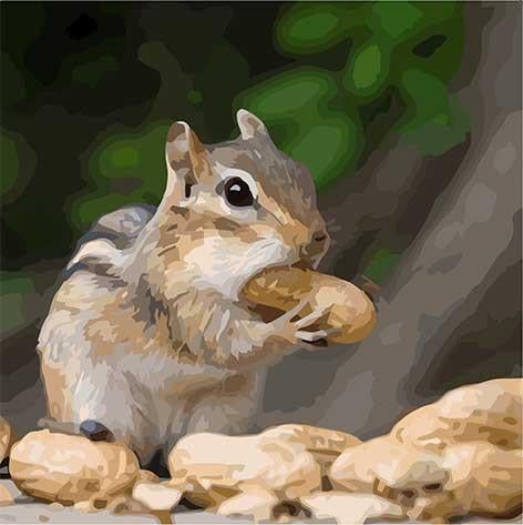 Картина по номерам ART CRAFT Крошка бурундук 11610-AC 40x40 см (RLT15549)