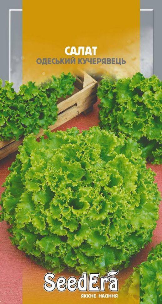 Насіння SeedEra салату Одеський Кучерявець SeedEra 10 г (2077)