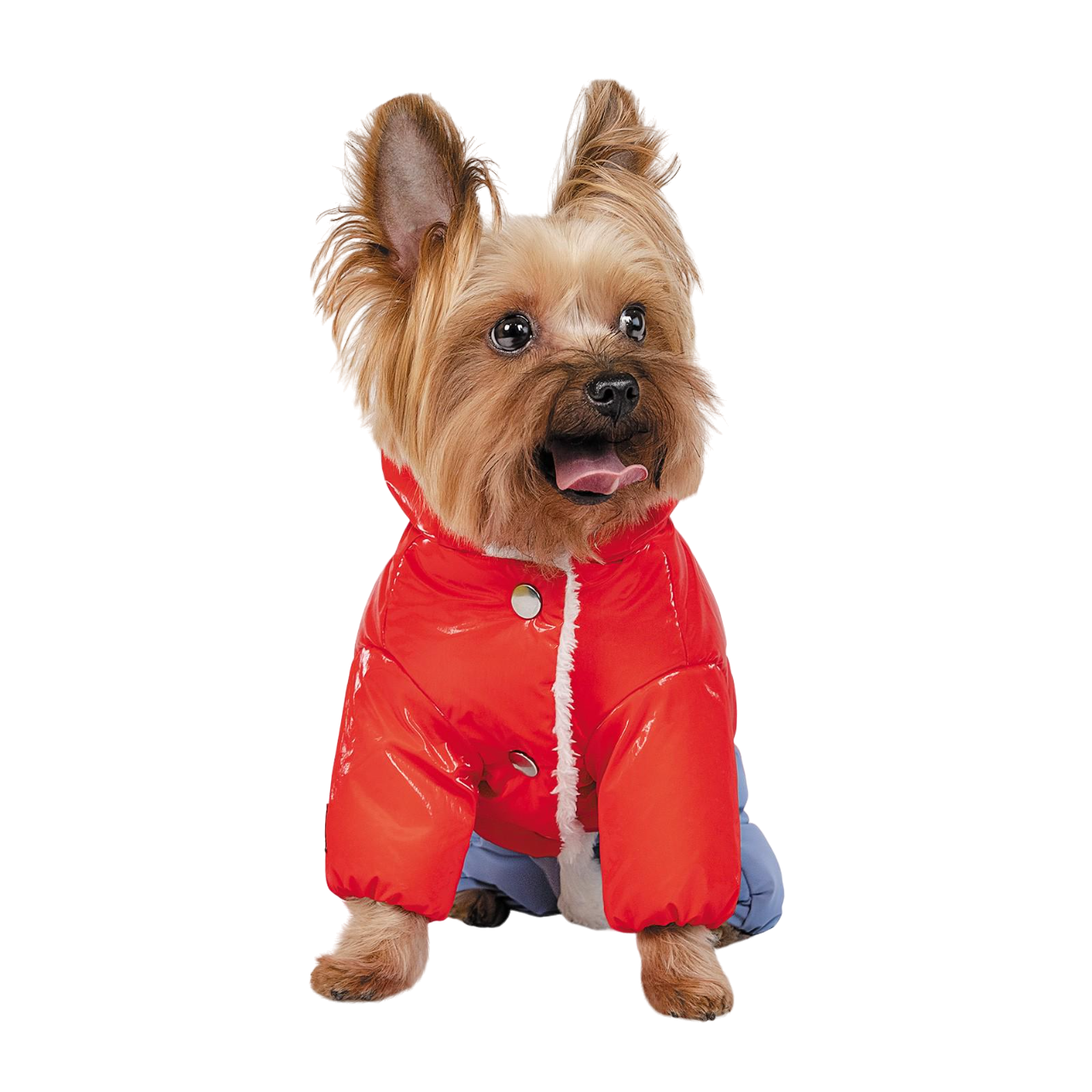 Костюм Pet Fashion Pretty L Красный (PR242265)