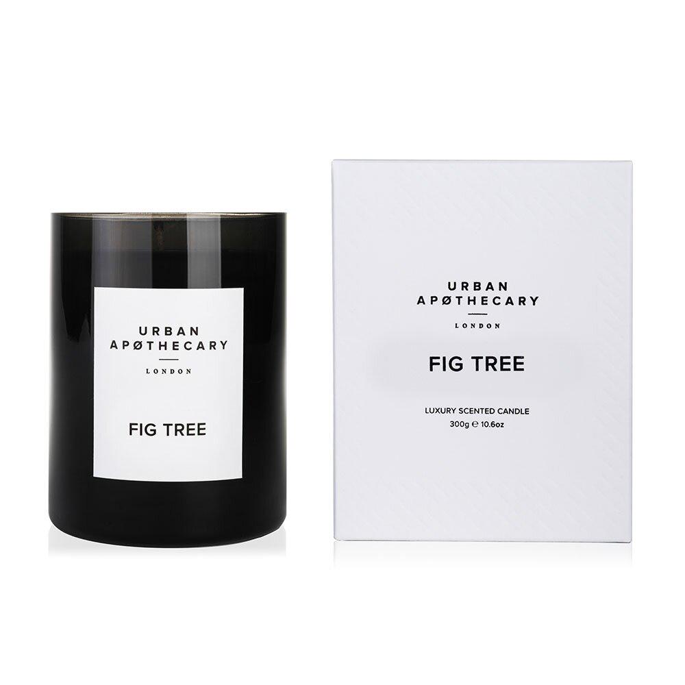 Ароматическая свеча Urban apothecary Fig Tree 300 г (UALWFTC300) - фото 3