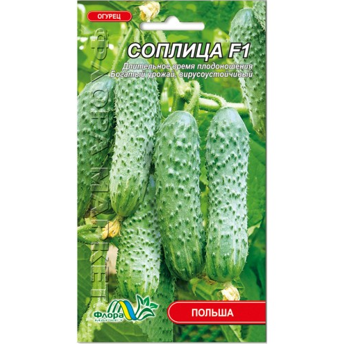 Насіння огірка Соплиця F1 середньоранній 0,5 г (26491)