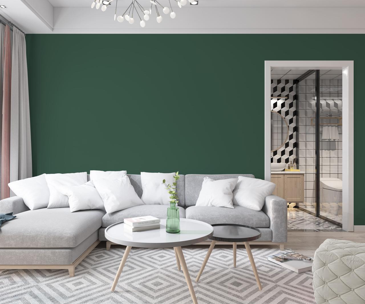 Краска интерьерная латексная Skyline 6020-G (C) 5 л Сосна (650c0cca4bc23147a0718a99) - фото 3