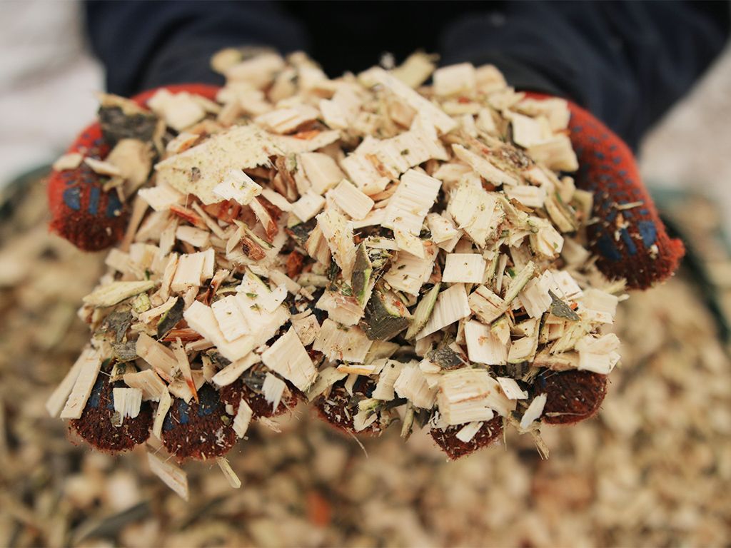 Подрібнювач гілок Arpal на щепу з бензиновим двигуном - фото 18 Подрібнювач гілок Arpal на щепу з бензиновим двигуном - фото 18