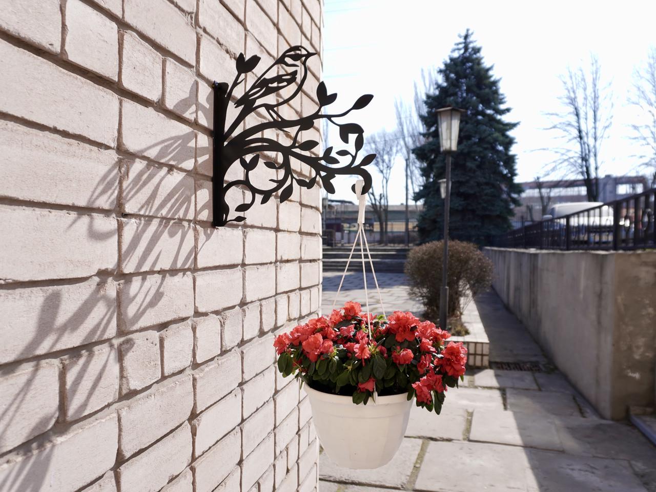 Кронштейн Воробей для кашпо с цветами метал Черный (М007) - фото 6 Кронштейн Воробей для кашпо с цветами метал Черный (М007) - фото 6