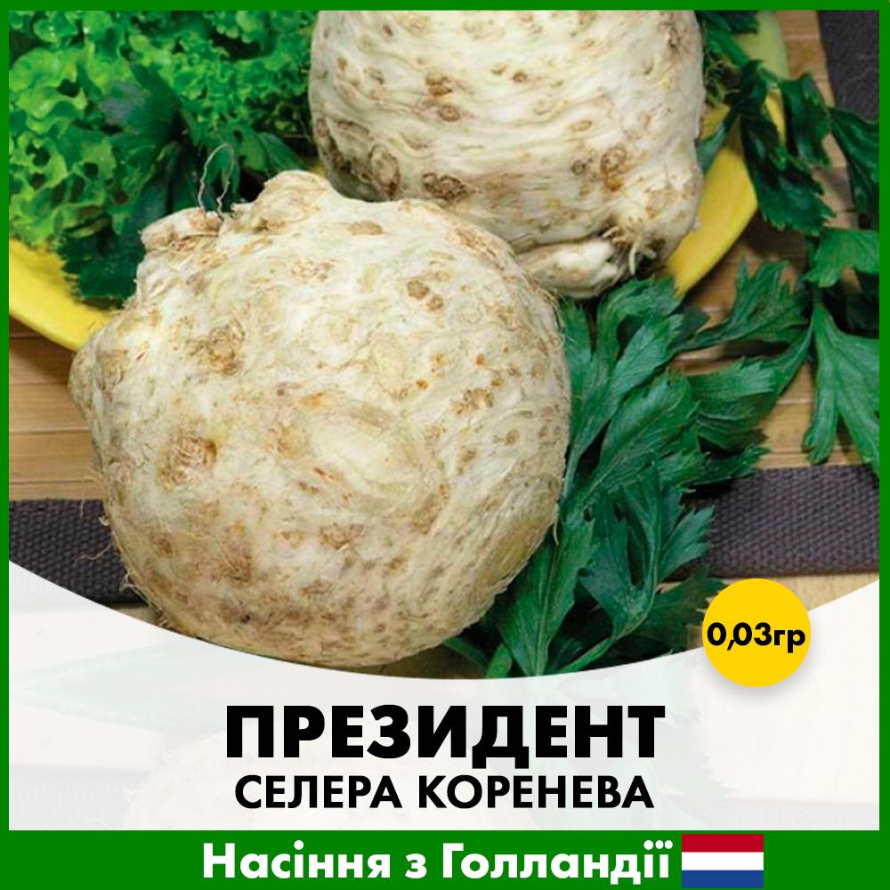 Семена сельдерея корневая Rijk Zwaan Президент 0,03 г (R50123)