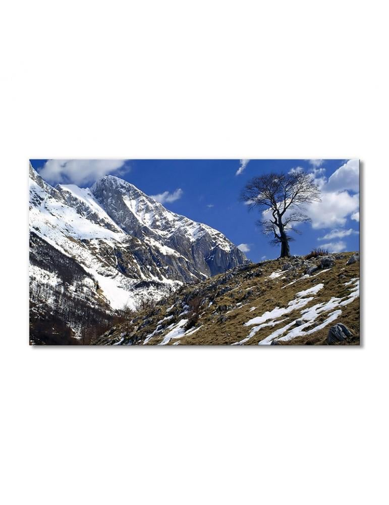 Картина модульная Снежные горы небо 1 модуль 30х45 см