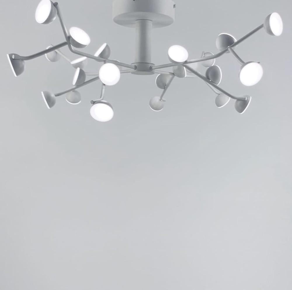 Люстра потолочная на 24 плафона Mantra Белый (D8001-24 WT)