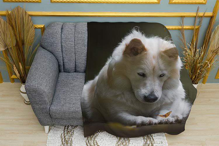 Плед White dog and butterfly плюш однослойный 150х210 см (113978-1)