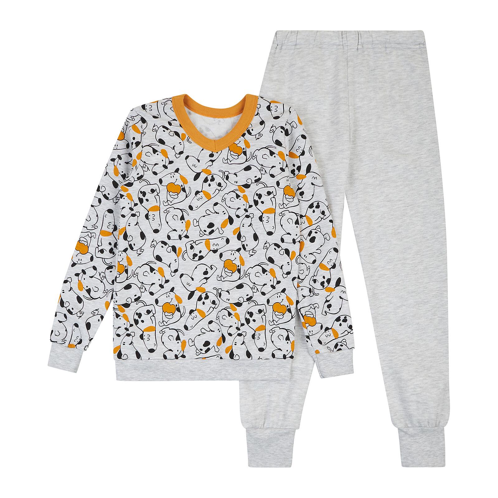 Пижамный комплект детский из фуфайки и брюк р. 110 (К3ФТ118)