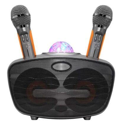 Караоке система для дома SDRD SD315 с колонкой и светомузыкой Серый