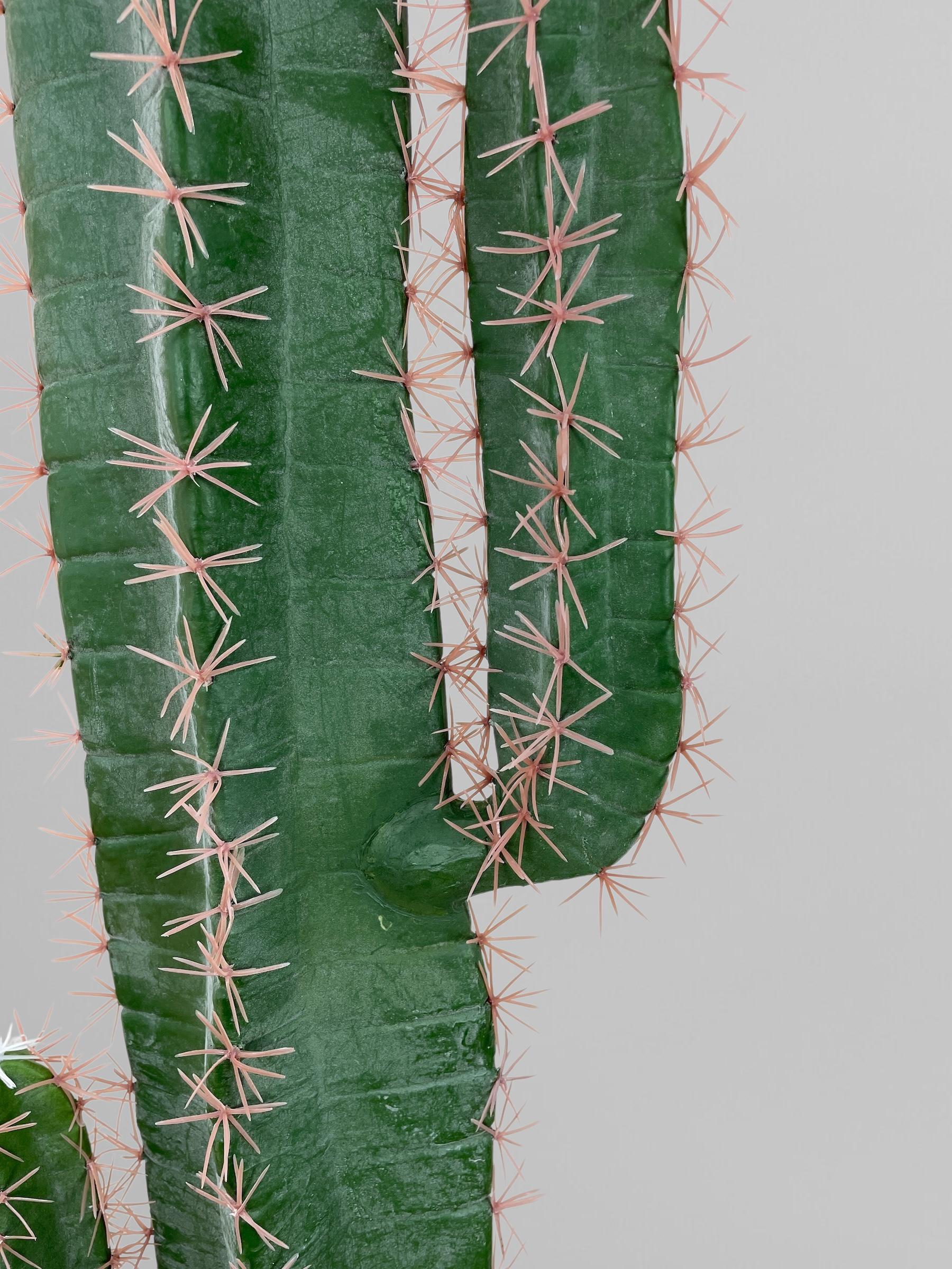 Искусственный кактус 186 см Зеленый (Р06009) - фото 9 Искусственный кактус 186 см Зеленый (Р06009) - фото 9