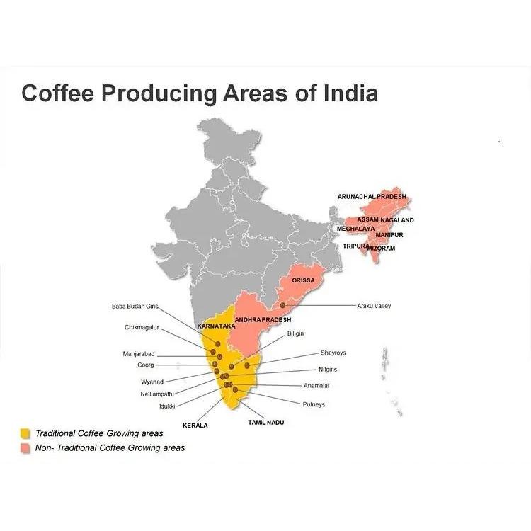 Кава свіжообсмажена робуста індія чері 1 кг (168-65084) - фото 2 Кава свіжообсмажена робуста індія чері 1 кг (168-65084) - фото 2