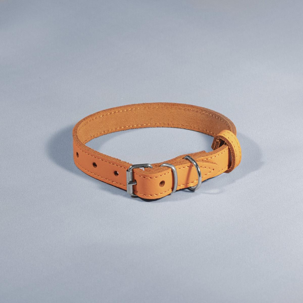 Нашийник для тварин шкіряний ВЕСНА 18 мм х 28-36 см Помаранчевий (2296448970) - фото 1 Нашийник для тварин шкіряний ВЕСНА 18 мм х 28-36 см Помаранчевий (2296448970) - фото 1