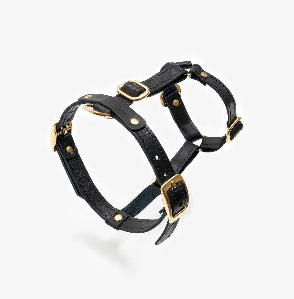 Шлей кожаный анатомический для собак Classy обхват грудины 75-89 см XL Черный (1658)