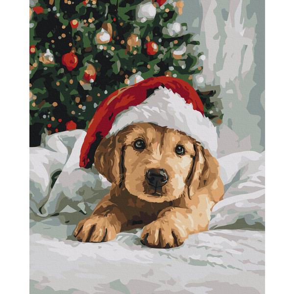 Картина по номерам Brushme Пушистый друг из хлопчатобумажного полотна 40x50 см (6-83-BS54505)