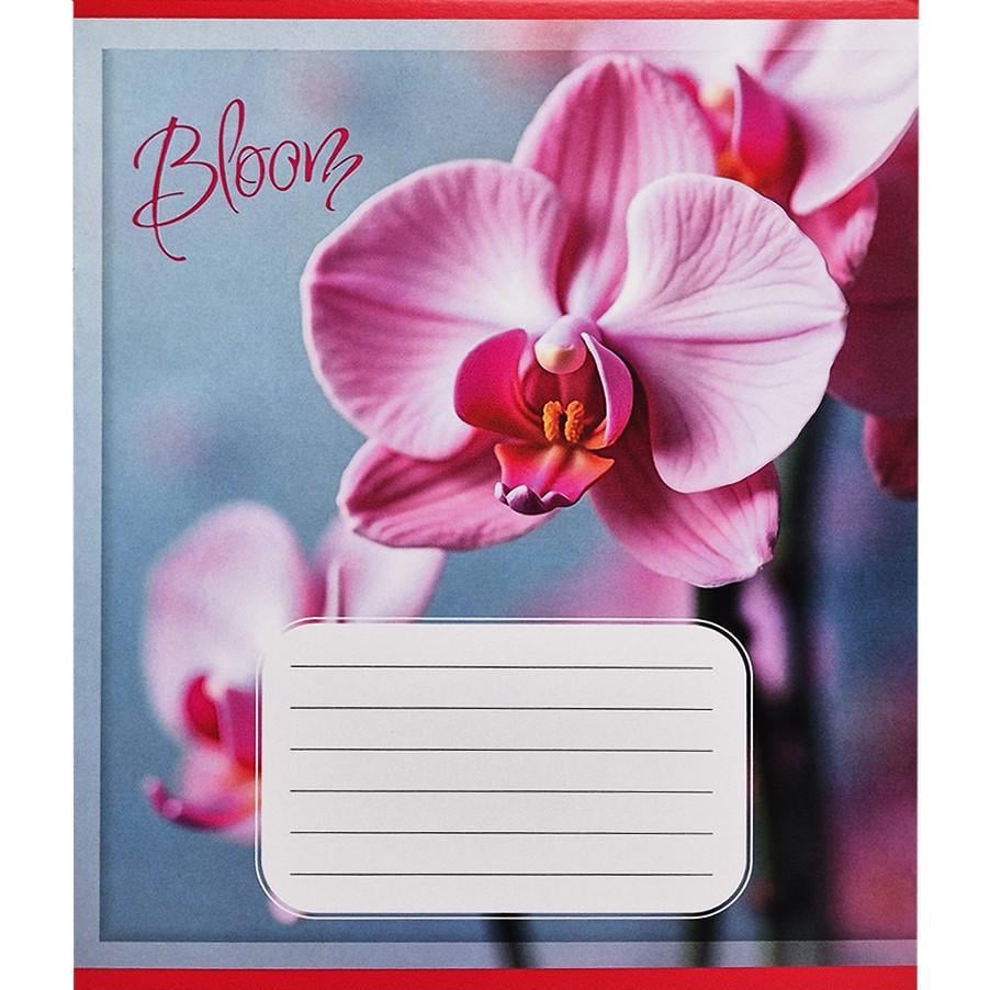 Шкільний зошит Орхідеї 018-530261K-1 в клітинку 18 аркушів (RLT55222)