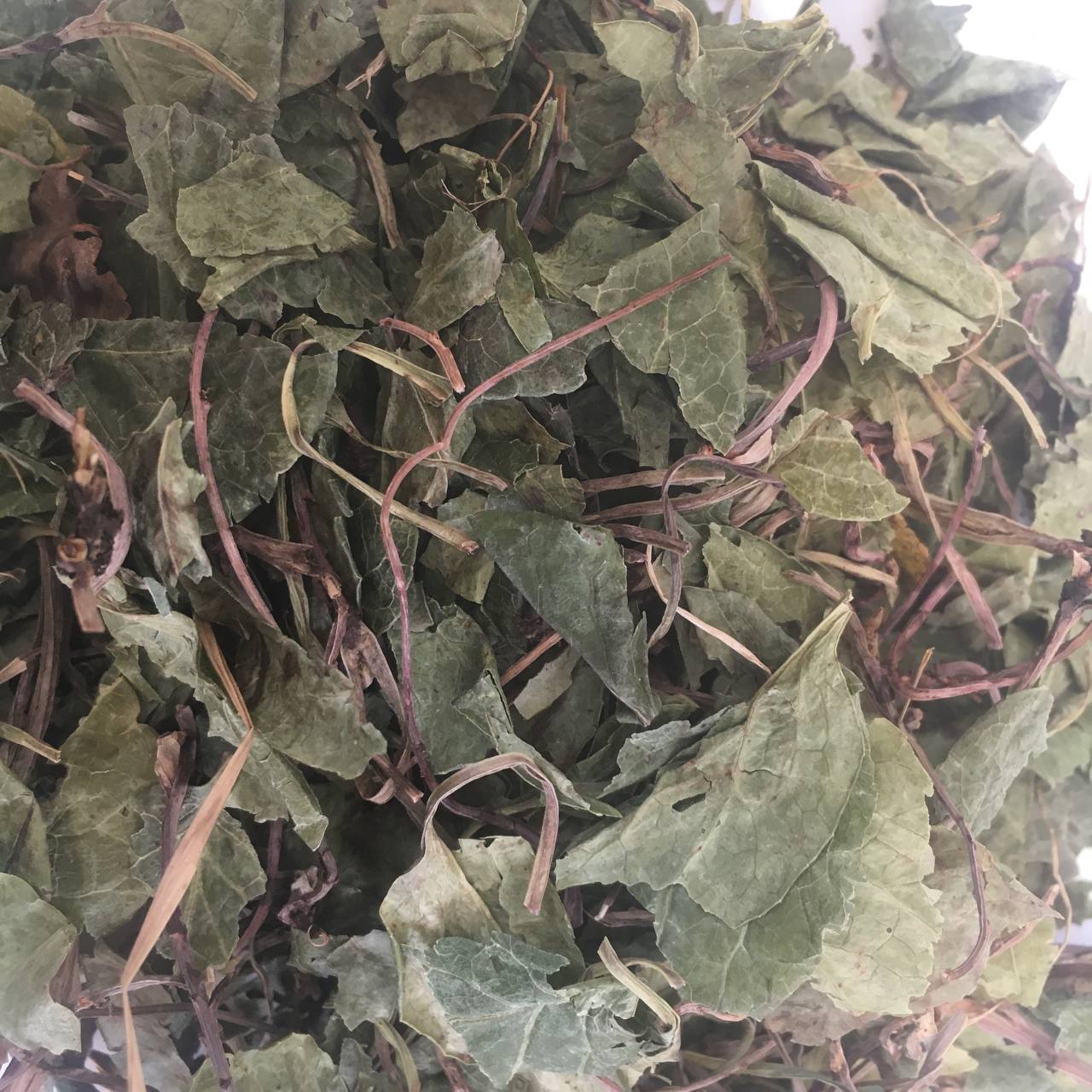 Гушанка лист Карпаты 50 г (6299f539390b4b6fae6ad957) - фото 2