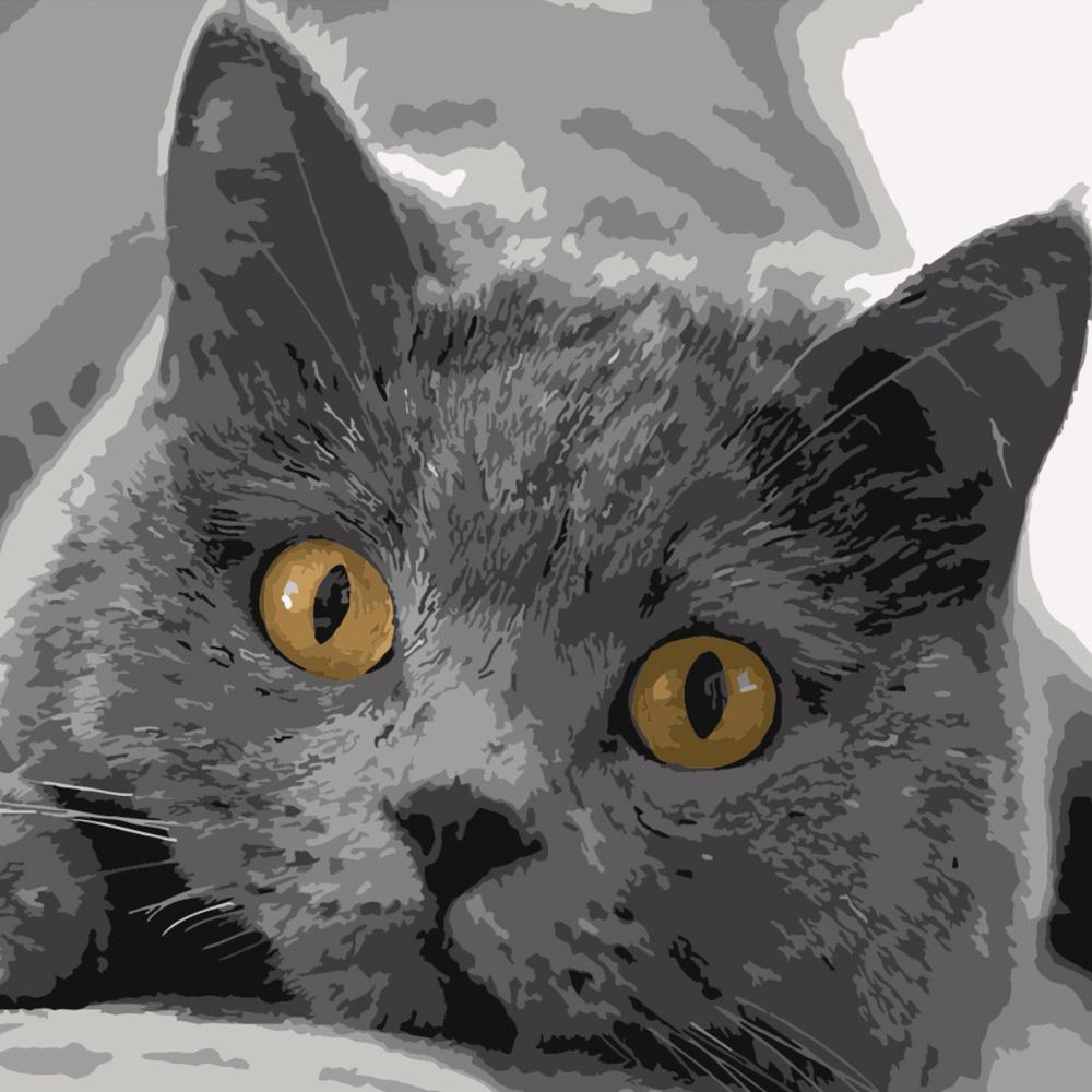 Картина по номерам Strateg Премиум Серый котик 40x40 см (Str-SK016)