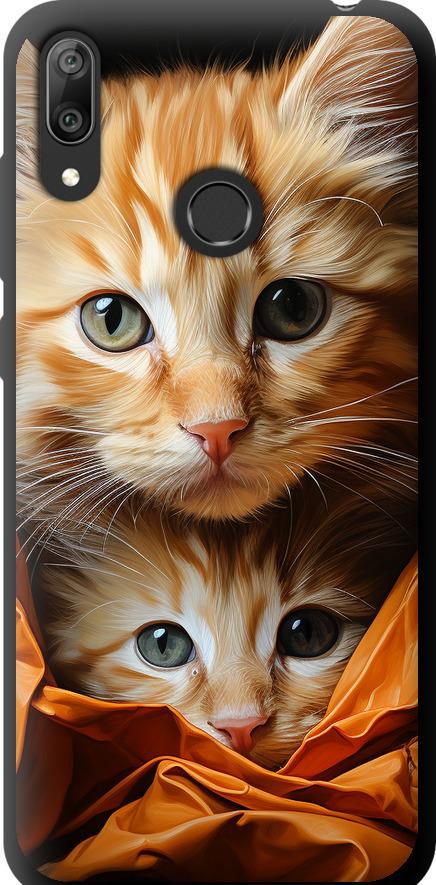 Чехол на Huawei Y7 2019 Котики 2 (5664b-1638-42517)