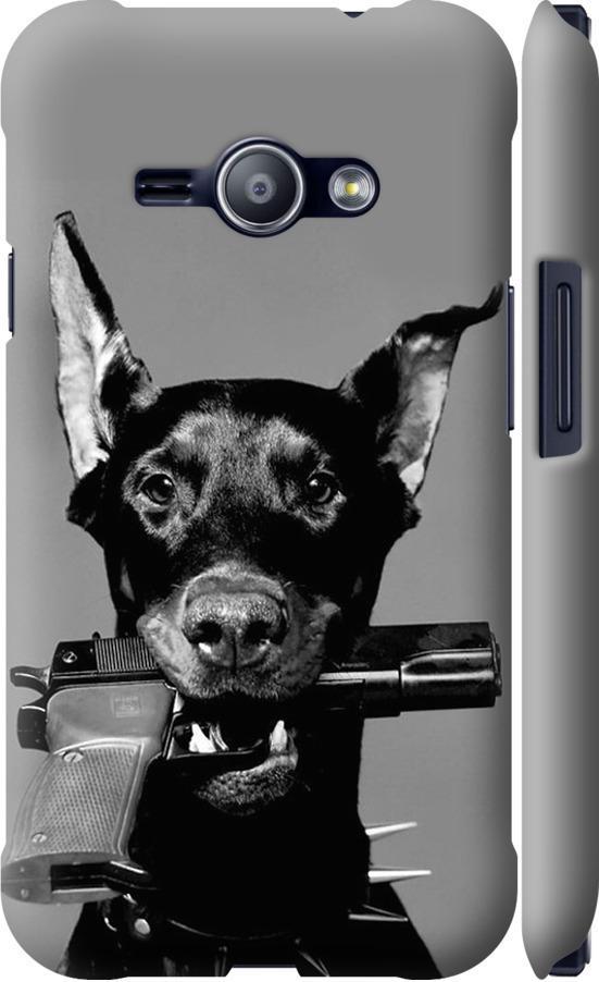 Чехол на Samsung Galaxy J1 Ace J110H Доберман (2745m-215-42517)