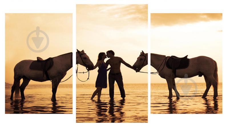 Модульная картина Декор Карпаты 100х53 см (M3-t153)