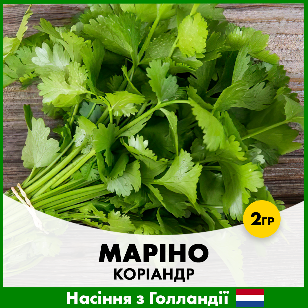 Семена кориандра Enza Zaden Марино 2 г (R30334)