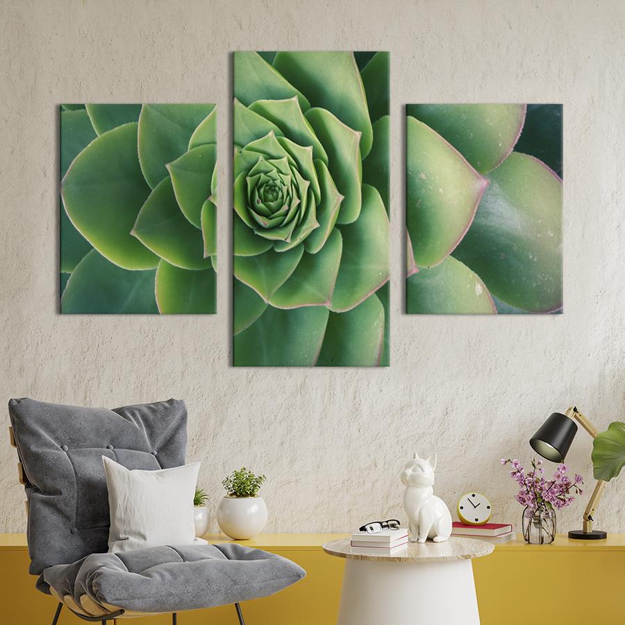 Картина на холсте триптих Изящный суккулент 96x60 см (879-32)
